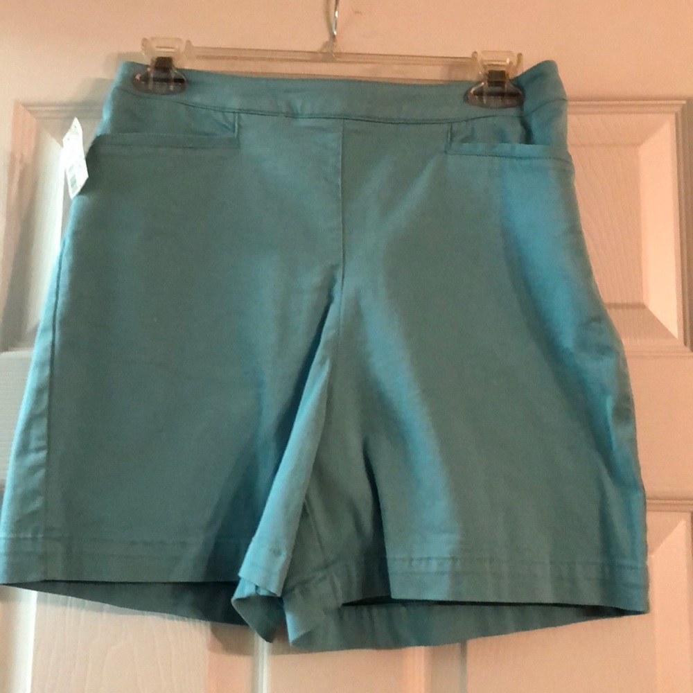 Aqua Shorts NWT